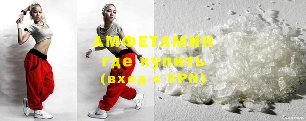 индика Новозыбков