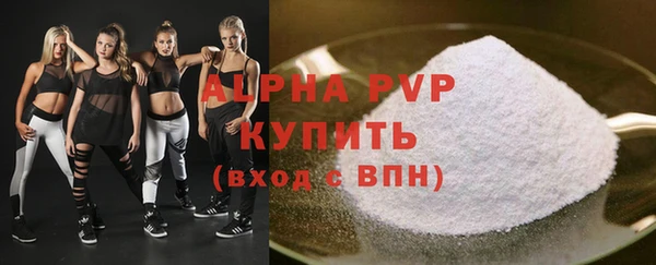 индика Новозыбков