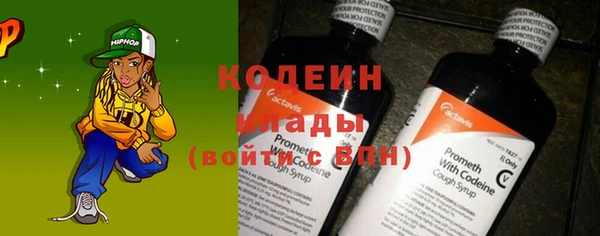 индика Новозыбков