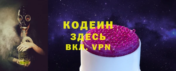 индика Новозыбков