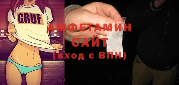 сатива Новодвинск