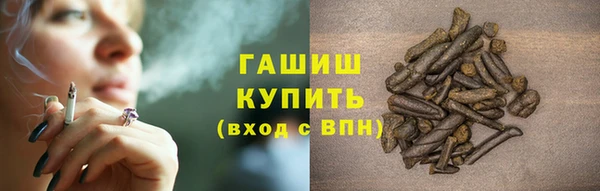 индика Новозыбков