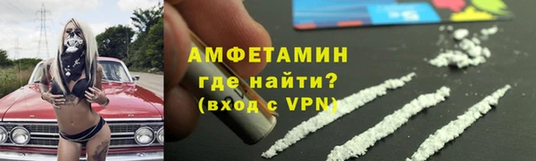 сатива Новодвинск