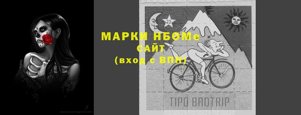 молекула духа Нягань