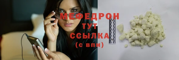 индика Новозыбков