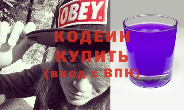сатива Новодвинск