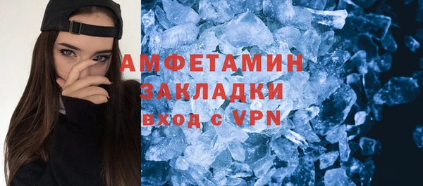 сатива Новодвинск