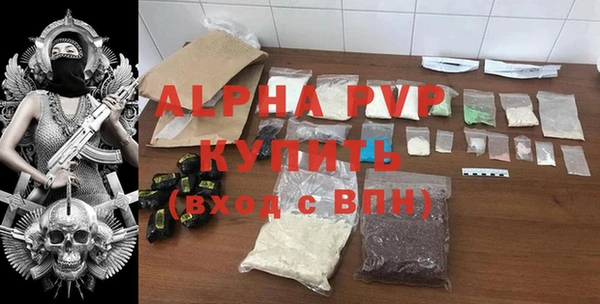 сатива Новодвинск