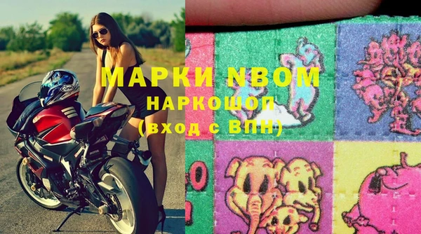 индика Новозыбков