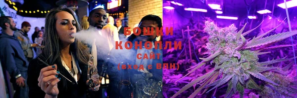 индика Новозыбков