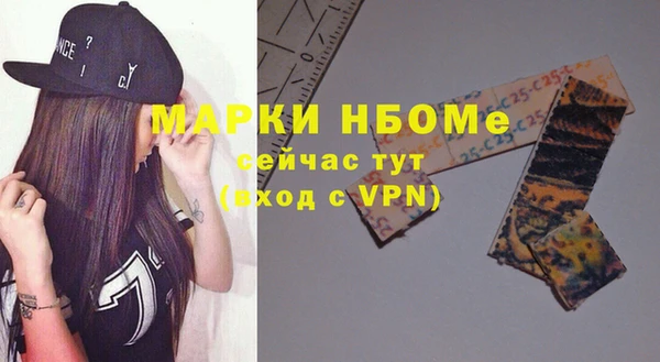 сатива Новодвинск