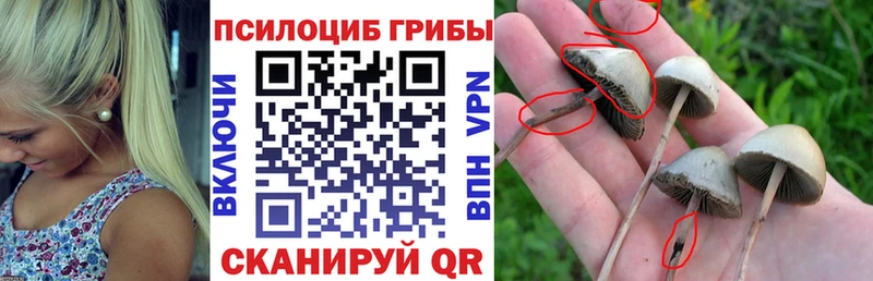 где можно купить наркотик  мега зеркало  Галлюциногенные грибы Cubensis  Когалым 