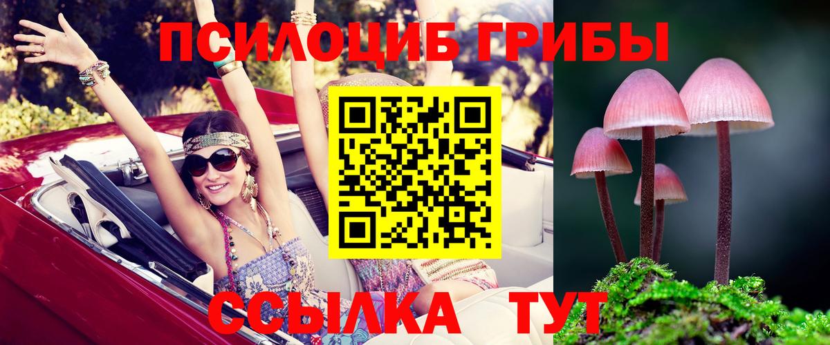 МЕФ кристаллы  ГАШ  Когалым  Вход с VPN  MDMA 