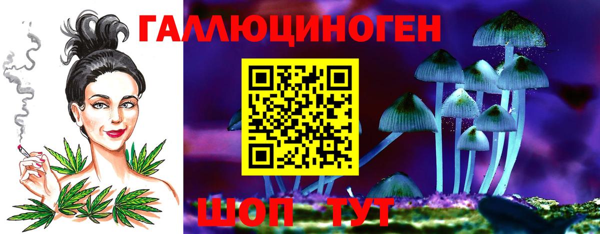 Псилоцибиновые грибы Psilocybe  купить закладку  Вход с VPN  Когалым  Галлюциногенные грибы Cubensis 