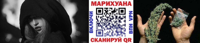Каннабис сатива  закладка  Когалым 